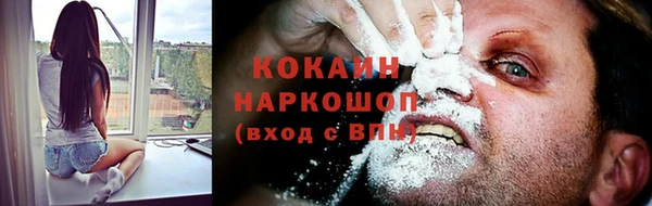 стафф Богданович