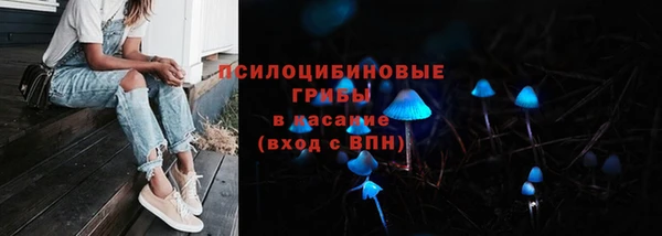 соль курить ск Богородицк