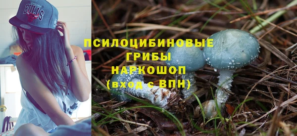 mdpv Богородск