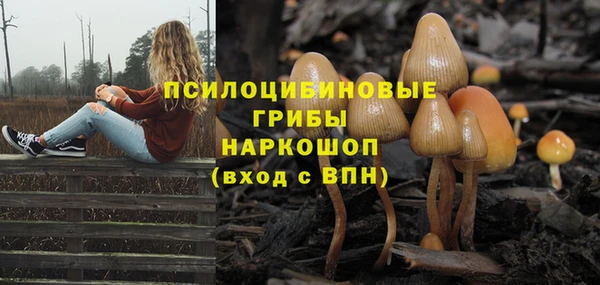 соль курить ск Богородицк