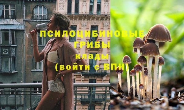 стафф Богданович