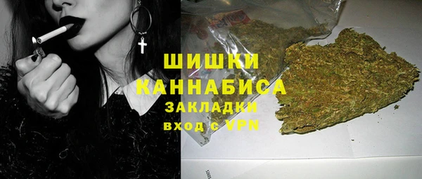 стафф Богданович