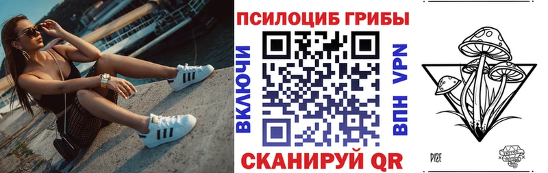 купить   Кораблино  ОМГ ОМГ   Галлюциногенные грибы GOLDEN TEACHER 