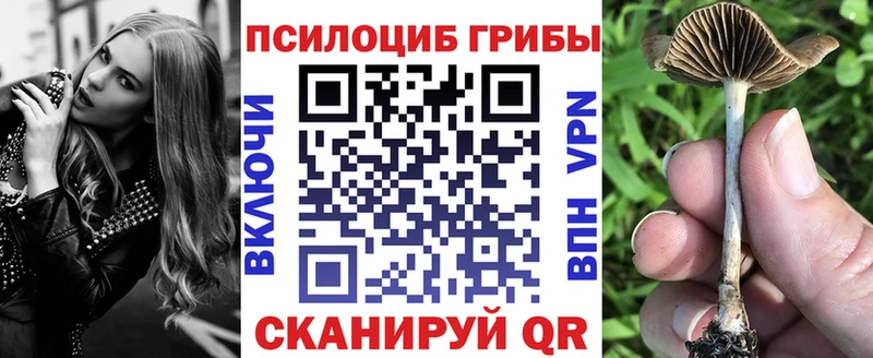 Псилоцибиновые грибы GOLDEN TEACHER Кораблино